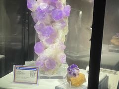 -中国地质大学逸夫博物馆