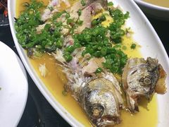 -三强鸽子(中原路店)