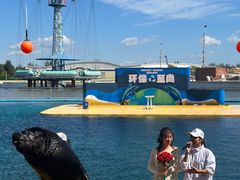 -秦皇岛乐岛海洋王国