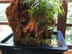 -天目湖御水温泉·度假酒店