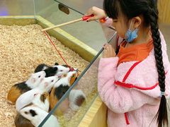 -昆明大悦城未来动物城(螺蛳湾中心店)