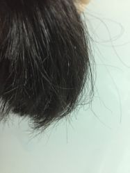 点击看大图 -藤野造型