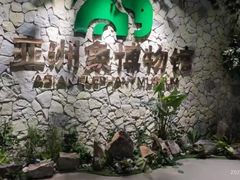 -野象谷景区
