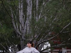 -后海公园
