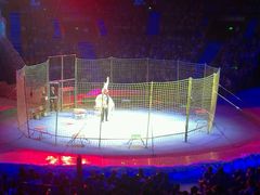 -珠海横琴长隆《卡卡虎奇遇记》