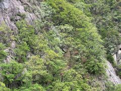 -洛阳白云山景区