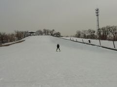 -东方巨龟苑景区