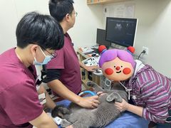 -美联众合动物医院·24h京西诊疗中心
