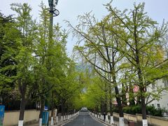 -青岛第三海水浴场