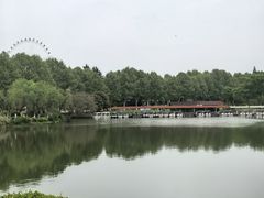 -宜兴龙背山森林公园