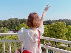 -铁山坪森林公园