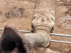 -西霞口神雕山野生动物世界