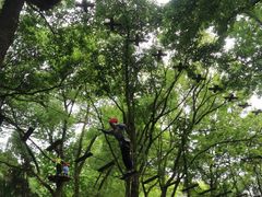 -紫金山山顶公园