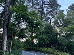 -临平公园(临平街道)