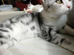 -肯德基(南京高铁1店)