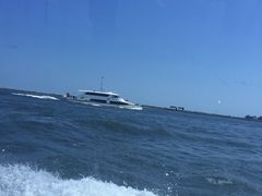 -月坨岛华清月府温泉酒店