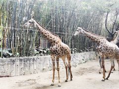 -长鹿旅游休博园