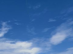 -哈尔滨大剧院