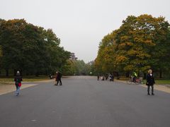 -海德公园