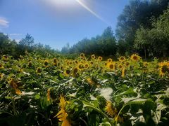 -哈尔滨大剧院