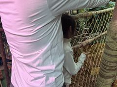 -正佳雨林生态植物园