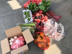 -南汇老顾农家乐采摘大团水蜜桃采摘店