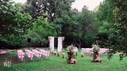 -陶然花园·婚宴