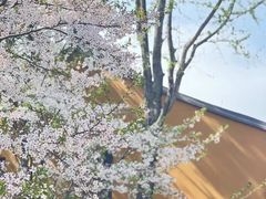 -龙华寺