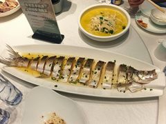-绿杨春·淮扬宴(庐山路店)