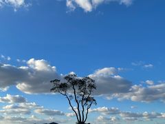 -东钱湖旅游度假区