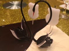 -BLACKSWAN黑天鹅(环球店)