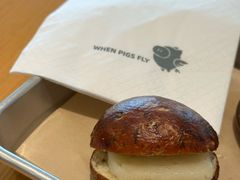 -WHEN PIGS FLY当猪飞