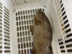 -叶姐海鲜(棋子湾店)