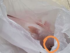 -渔享海尚鲜酒楼(广海渔人码头店)