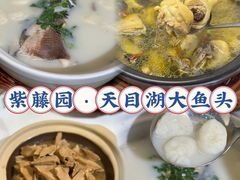 -紫藤园·天目湖大鱼头(南山竹海店)