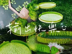 -上海滨江森林公园