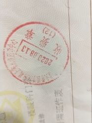 -上海交通大学医学院附属上海儿童医学中心(陆家嘴总院区)