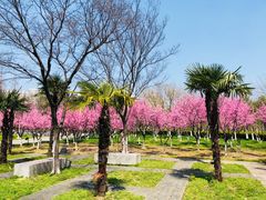 -白塘生态植物园