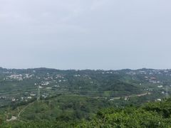 -三圣花乡旅游区