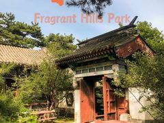 -香山公园