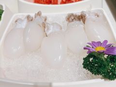 墨鱼仔-海底捞火锅(劲松店)