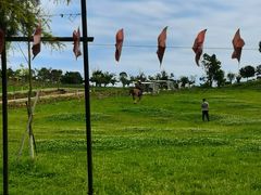 -紫颐香薰山谷景区