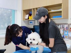 -美联众合动物医院·24h京西诊疗中心