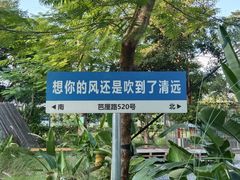 -芭厘农庄老字号·清远鸡