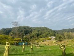-贵州百里杜鹃风景名胜区