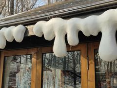 -长白岛森林公园