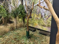 -费瑟代尔野生动物园