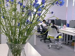 -四季美学色彩形象管理服装搭配