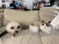 -iF摄影•全家福•证件照•形象照(南山店)