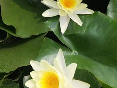 -前关湿地公园